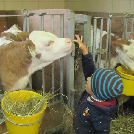 Lejlighed Lampeterhof *