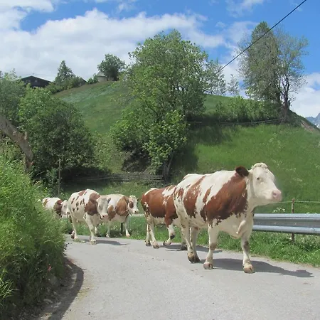 Lampeterhof Lejlighed