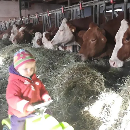 Lampeterhof Lejlighed