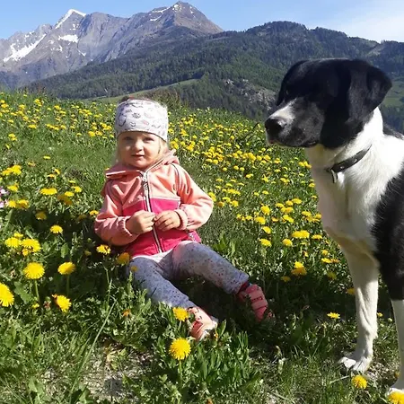 Lampeterhof Lejlighed *