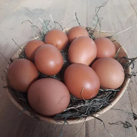 Lampeterhof شقة *