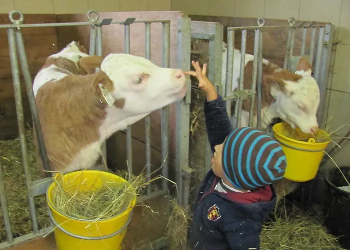 公寓 Lampeterhof *