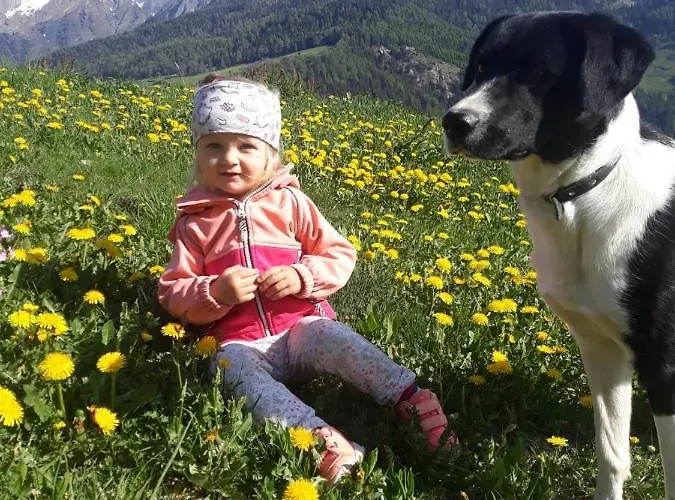 Lampeterhof 公寓 *