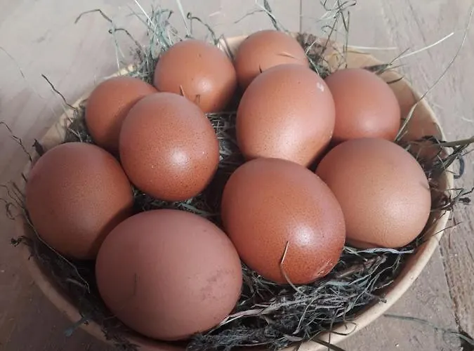 Lampeterhof 公寓 *